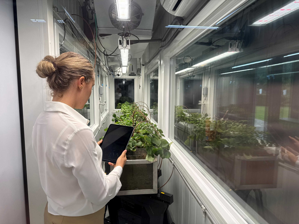 A researcher working in Climate Simulator laboratory